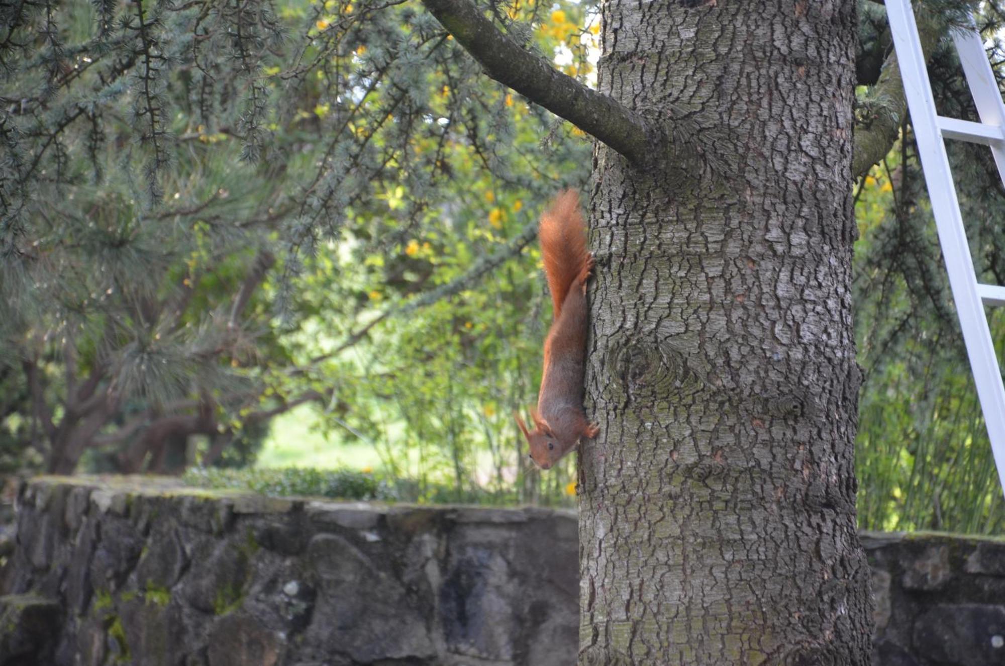 Domaine Insolite Du Petit Moras Chomerac ภายนอก รูปภาพ